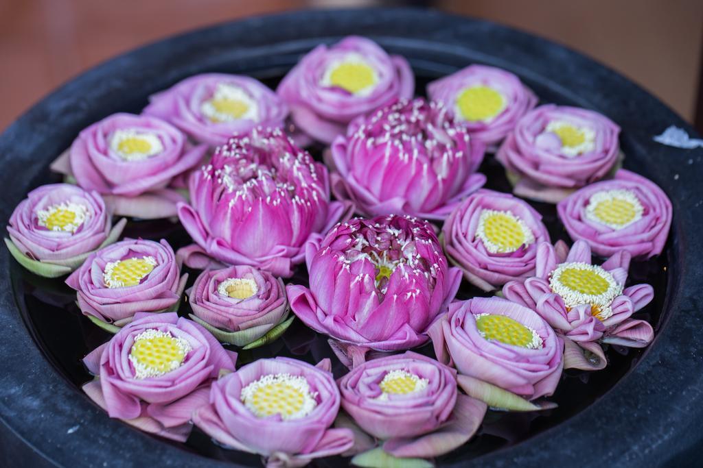 Angkor'S Sunshine Bed & Breakfast Siem Reap Bagian luar foto